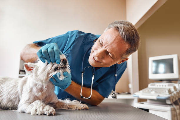 Best Emergency Tooth Extraction in Norco, LA